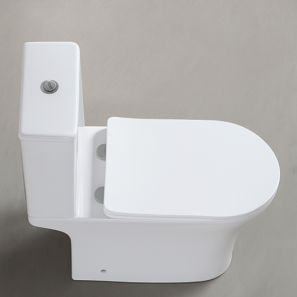 Унитаз-компакт VORTEX VX31126DP