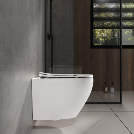 Унитаз подвесной ARTIS AR30116DP